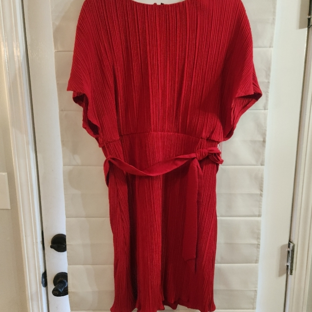 Red Pleated DKNY Dress